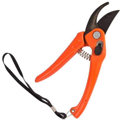 Изображение Секатор Park HG0005 (270101)