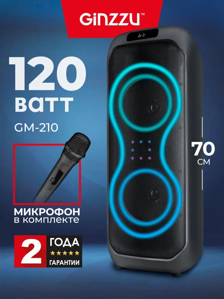 Изображение Портативная акустика Ginzzu GM-114 (1300 Вт   черный)